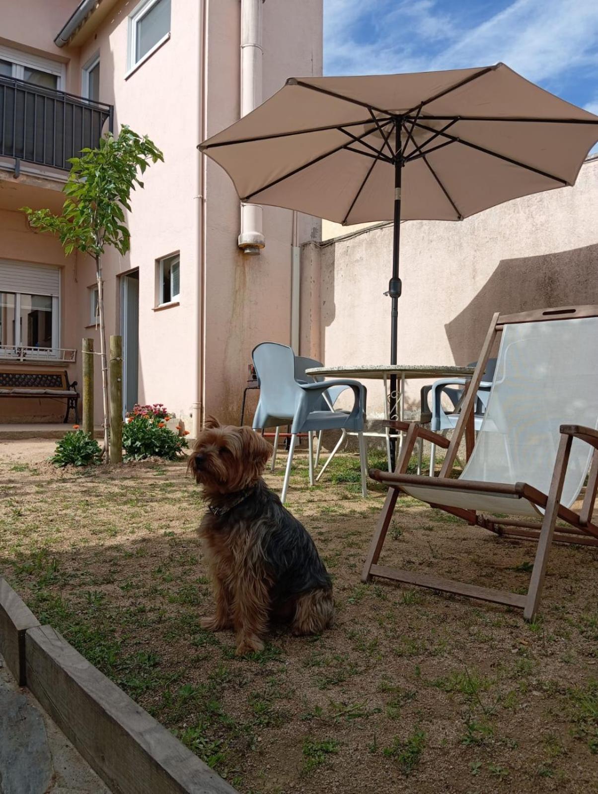 Holiday home Ca L'avi Ramon *